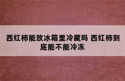 西红柿能放冰箱里冷藏吗 西红柿到底能不能冷冻